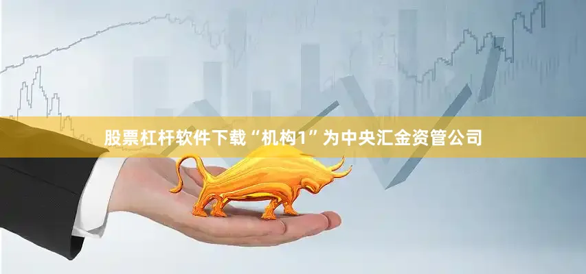股票杠杆软件下载“机构1”为中央汇金资管公司